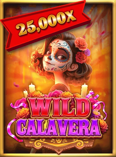 Video slot game cover from Pragmatic Play